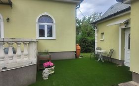 Small House In Green Area